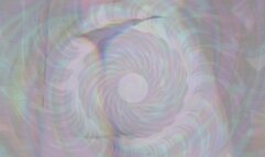 Watch and Worship (Ass)