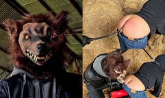 Coco's buttcrack whipped, zapped and caned by the crack wolf - mov