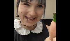 getting my best friend to see which teeth are best for crushing