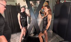 Dom Session Surprise StrapOn