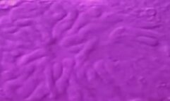 Government Funded Fuckdoll