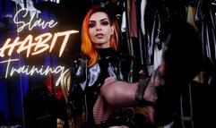 Slave Habit Training