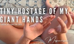 Tiny Hostage of my Giant Hands