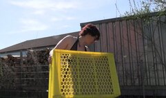 The mega-sized monster dildo