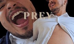 Professors Prey: Permanent Detention