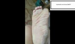 Sharlotte 4x quick home itches