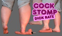 Cock Stomp Dick Rate
