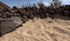 Wet & Wild: Naughty Beach Tease and Pee