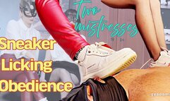 Sneaker Licking Obedience