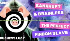 Bankrupt & Brainless: The Perfect Findom Slave Minduck Duchess Lucy Ruins You Audiogram