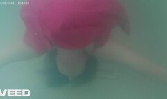 Happy pride month from down under 3