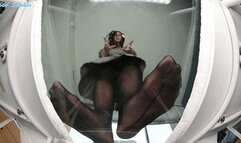 Boss FBC has the perfect new * stress ball * , and they're " a dime a dozen " GIANTESS FOOT CRUSH!!- MOV