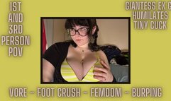 Giantess Ex Girlfriend Humiliates Tiny Cuck