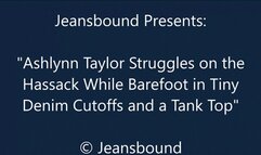 Ashlynn Taylor Bound on the Footstool - HD