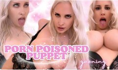 Porn Poisoned Puppet (Gooning)