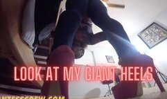 GIANTESS CREW- Look at my Giant HEELS