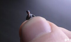 No One Will Save You