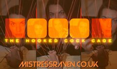 [1047] CBT The Hooked Cock Cage