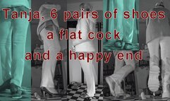 Trampled flat and squeezed out unknowingly by Tanja under 6 pairs of shoes - VD 12