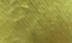 You’re pathetic for being obsessed with my stinky feet