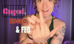 Caged, Edged, and Fed: A Humiliating mix of cei, joi, and psychological domination