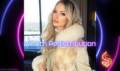 Wealth Redistribution