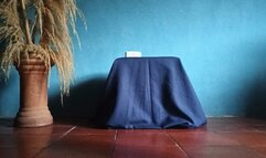 Nice crossed legs and dangling stiletto heels (3)