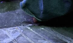 Very hard warmup revving in my brown ass stompers