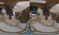 3D VR360 GIANTESS GAOYU and MARTINA buttocks flattened the dwarf towards
