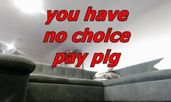 you have no choice pay pig (WMV)