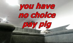 you have no choice pay pig (MOV)