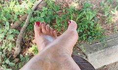 Steep arches in nature (3)