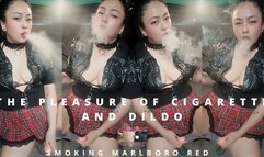 The Pleasure of Cigarette and Dildo - Smoking Marlboro Red