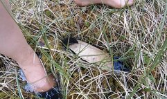 Take the measurements