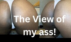 You crave my ass, don’t you?