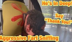 Thank Me for My Farts Loser! - Sara Bee