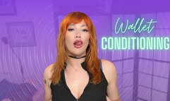 Wallet Conditioning [Mesmerize]