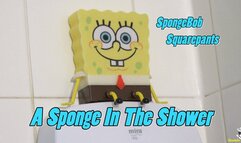 A Sponge in the Shower