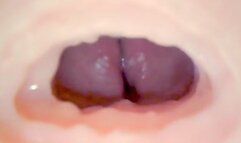 Fucking my fake pussy internal view and cum inside