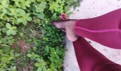 Pronounced bows on fisherman's fishnet stockings and beautiful soles of the feet (3)