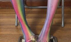 Cake Smash Rainbow Fishnets