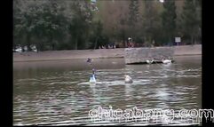 Latina Teen Sucks Dick in Boat