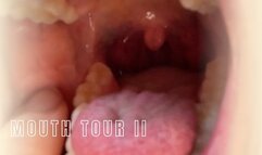 Visita guiada de boca II