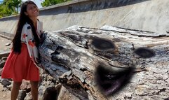 Yoshiko: Demon Stump Lift