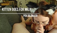 Kitten goes for milk