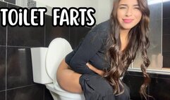 Long farts in the toilet