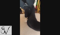 Ignored Chastity Key on my Anklet