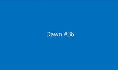 Dawn036 (MP4)