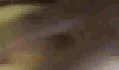 Hotwife Fara gets pounded and a. by her BBC lover