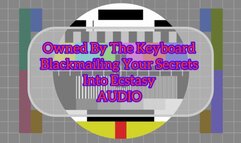 Owned By Keyboard : Blackmailing You Into Ecstasy Audio